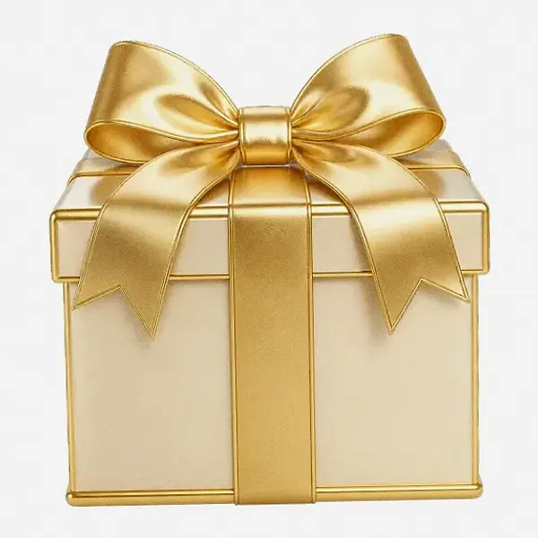 Wrapped gift box — Bof